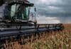 La cosecha de sorgo llegó al 90,3% y la producción se ajustó a 2,8 millones de toneladas Cosechadora Fendt IDEAL recolectando sorgo en un campo argentino, con una tormenta y un relámpago tenue en el horizonte
