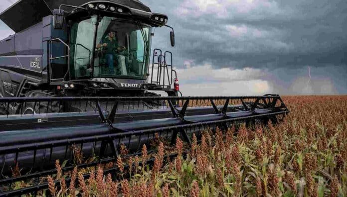 cosecha-sorgo-tormenta Cosechadora Fendt IDEAL recolectando sorgo en un campo argentino, con una tormenta y un relámpago tenue en el horizonte