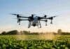 Drones aplicadores: el INTA muestra cómo intervenir sin pisar el cultivo Dron aplicador pulveriza de manera localizada sobre un cultivo agrícola al atardecer.