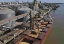 Récord histórico: los puertos argentinos embarcaron 52,8 millones de toneladas en el primer semestre Carga de soja en un buque granelero desde una terminal portuaria del Gran Rosario.