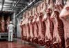 29.000 toneladas a 14.000 dólares la tonelada: así se distribuyó la Cuota Hilton 2026/27 entre frigoríficos y ganaderos Medias reses bovinas listas para exportación en una planta frigorífica durante la carga de un camión refrigerado destinado al mercado internacional.