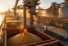 Las exportaciones de granos marcaron un récord histórico en el primer semestre de 2026 Buque granelero cargando granos en una terminal portuaria argentina, con silos, cintas transportadoras y camión cerealero durante una operación de exportación.