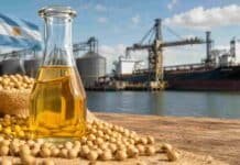 Exportaciones récord de aceites impulsan al agro, mientras el trigo y el maíz enfrentan nuevos desafíos Botella de aceite de soja junto a granos de soja, con un puerto agroexportador y un buque de carga en el fondo.
