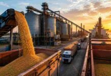 Las exportaciones agroindustriales crecieron 17,3% y rozaron los USD 27.000 millones en el semestre Carga de granos en una terminal portuaria argentina destinada a las exportaciones agroindustriales.