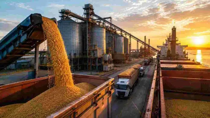 Carga de granos en una terminal portuaria argentina destinada a las exportaciones agroindustriales.