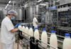 Diez empresas quieren quedarse con SanCor: el 20 de julio se abren los sobres y se define el futuro de la marca Operarios supervisan la línea de envasado de leche en una planta láctea industrial con equipos de acero inoxidable y procesos automatizados.