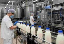 Diez empresas quieren quedarse con SanCor: el 20 de julio se abren los sobres y se define el futuro de la marca Operarios supervisan la línea de envasado de leche en una planta láctea industrial con equipos de acero inoxidable y procesos automatizados.