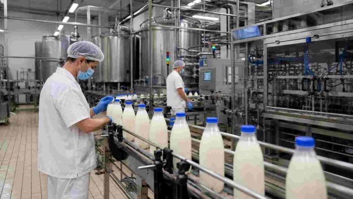 Operarios supervisan la línea de envasado de leche en una planta láctea industrial con equipos de acero inoxidable y procesos automatizados.