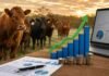 Creció 220% el crédito ganadero en 2025 y sigue siendo insuficiente: el número que explica el problema Rodeo bovino junto a gráficos financieros y una computadora, en una imagen vinculada con el crecimiento del crédito y la inversión ganadera.