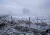 El SMN declaró alerta roja en Santa Cruz y amarilla en Chubut y Tierra del Fuego por frío extremo Campo rural cubierto de escarcha, con bebedero congelado, alambrados y niebla durante una jornada de frío extremo.