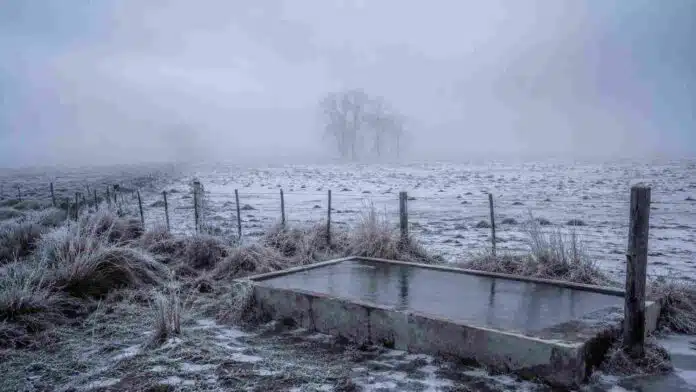 Campo rural cubierto de escarcha, con bebedero congelado, alambrados y niebla durante una jornada de frío extremo.