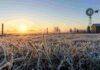 Temperaturas extremas: qué provincias están bajo alerta por frío Campo argentino cubierto por una intensa helada al amanecer, con pastizales escarchados, molino y niebla, representando un evento de frío extremo.