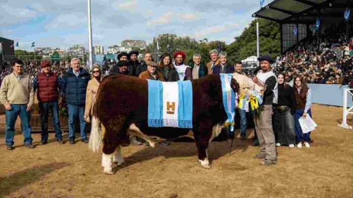 gran-campeon-macho-hereford-palermo-ruralnet Gran Campeón Macho Hereford de Cabaña San Marón junto a sus criadores en la pista de la Exposición Rural de Palermo.