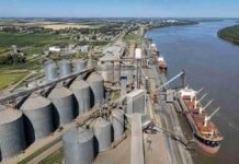 Tres nodos portuarios reúnen el 65% de la producción de seis cultivos Terminal portuaria de granos junto a campos productivos y un buque de carga, en una imagen que ilustra la cercanía entre la producción agrícola y los principales puertos argentinos.