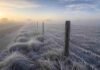 Mínimas de hasta -3°C y heladas generalizadas: cómo estará el tiempo del jueves 2 al sábado 4 de julio Pastizal cubierto por una intensa helada junto a un camino rural en la llanura pampeana argentina, con alambrado escarchado, neblina densa y luz invernal de la mañana iluminando el paisaje.