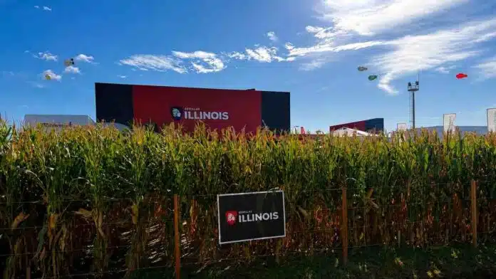 illinois-aapresid-2026-ruralnet Lote de maíz junto al espacio de ILLINOIS Semillas durante una exposición agropecuaria.