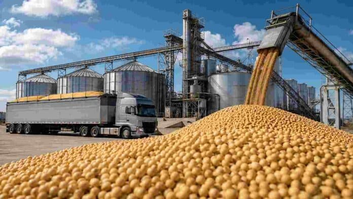 industria-sojera-procesamiento-granos-ruralnet Planta de procesamiento y almacenamiento de soja con silos, cintas transportadoras, camión y granos en primer plano.
