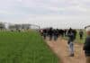 La cita que el sector del riego espera cada año vuelve a Manfredi en octubre con cupos limitados y entrada gratuita Productores y técnicos recorren un lote agrícola con sistema de riego durante una jornada a campo en INTA Manfredi.