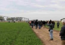 La cita que el sector del riego espera cada año vuelve a Manfredi en octubre con cupos limitados y entrada gratuita Productores y técnicos recorren un lote agrícola con sistema de riego durante una jornada a campo en INTA Manfredi.