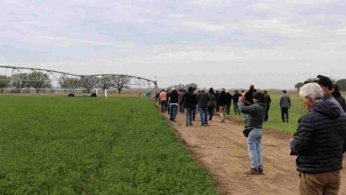 Productores y técnicos recorren un lote agrícola con sistema de riego durante una jornada a campo en INTA Manfredi.