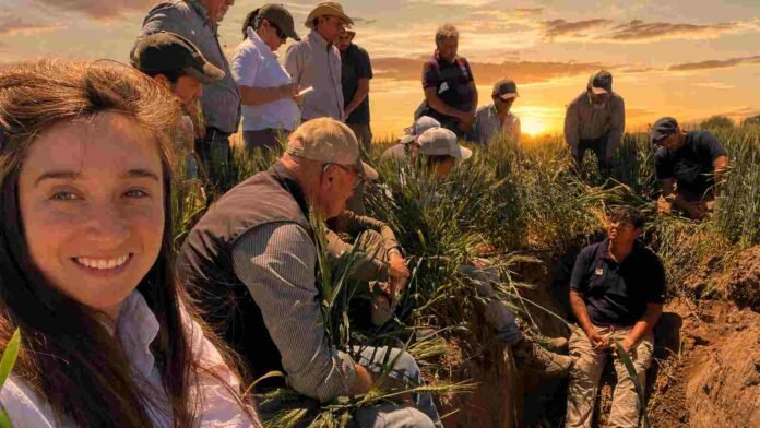 jornada-tecnica-cultivo-atardecer-ruralnet Técnicos y productores recorren un cultivo y observan el suelo durante una jornada técnica a campo al atardecer.