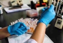 700.000 dosis por año y 30 años de historia: el laboratorio del INTA que es referencia mundial en tristeza bovina se renovó Personal de laboratorio prepara y analiza muestras vinculadas a la vacunación contra la tristeza bovina.
