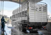 El SENASA simplificó el trámite para registrar lavaderos de camiones ganaderos: solo hace falta una declaración jurada Operario realiza el lavado y la desinfección de un camión de transporte de hacienda en una estación habilitada.