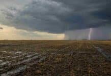 Más lluvias en Buenos Aires y La Pampa: qué anticipa el trimestre agosto-octubre Campo productivo de Buenos Aires y La Pampa bajo lluvias, con suelo húmedo y un relámpago en el horizonte.
