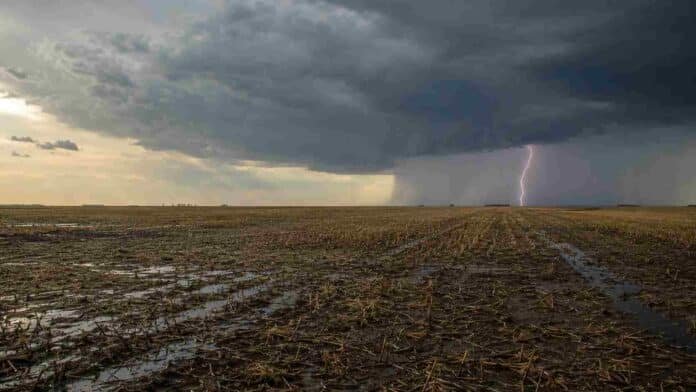 Campo productivo de Buenos Aires y La Pampa bajo lluvias, con suelo húmedo y un relámpago en el horizonte.