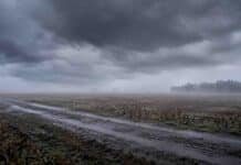 Avanza la inestabilidad: lluvias en Buenos Aires y nieblas el sábado Campo rural de Buenos Aires con camino barroso y charcos bajo cielo de tormenta, lluvia y bancos de niebla en el horizonte.