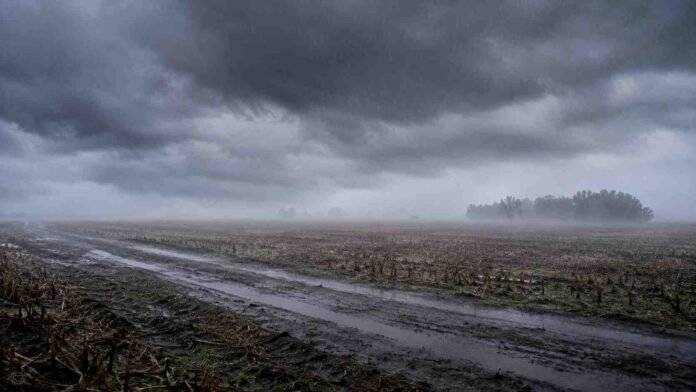 lluvias-buenos-aires-nieblas-sabado-ruralnet Campo rural de Buenos Aires con camino barroso y charcos bajo cielo de tormenta, lluvia y bancos de niebla en el horizonte.