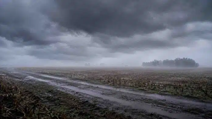 Campo rural de Buenos Aires con camino barroso y charcos bajo cielo de tormenta, lluvia y bancos de niebla en el horizonte.