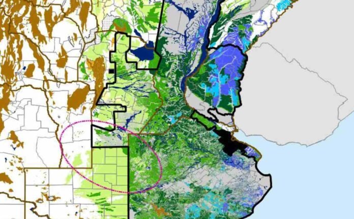 Mapa de las reservas de agua en el suelo argentino, con excesos hídricos en Corrientes y Entre Ríos y menor humedad en sectores del centro del país