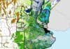 Reservas de agua: el suelo se mantiene estable para el trigo, con más sequía en el norte Mapa de reservas de agua en el suelo de la región agrícola argentina, con las condiciones hídricas diferenciadas por colores