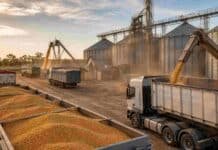 Jornada mundialista con mercado al alza: trigo, maíz y soja subieron en Chicago por clima y tensión en el mar de Azov Camiones cargan granos en una planta de acopio con silos y sistemas de transporte durante una jornada comercial.