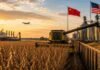 El USDA, China y el clima ponen en máxima tensión al mercado de granos Cosecha de soja junto a una terminal portuaria, con las banderas de China y Estados Unidos como referencia al comercio internacional de granos.