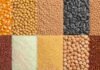 Granos: soja al alza, maíz dispar y trigo sin cambios: así arrancó la semana en el mercado de granos Vista superior de distintos granos agrícolas organizados en una cuadrícula, con maíz, soja, trigo, girasol, arroz, sorgo, lino, garbanzo y otros cultivos, representando el mercado de granos.