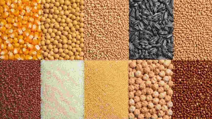 Vista superior de distintos granos agrícolas organizados en una cuadrícula, con maíz, soja, trigo, girasol, arroz, sorgo, lino, garbanzo y otros cultivos, representando el mercado de granos.