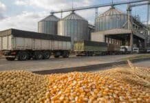 Granos: la soja volvió a liderar una jornada con señales mixtas Camiones esperan para descargar soja, maíz y trigo en una planta de acopio con silos.