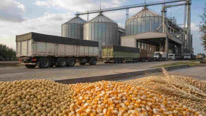 Camiones esperan para descargar soja, maíz y trigo en una planta de acopio con silos.