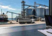 Granos: China compró 300.000 toneladas de soja estadounidense y el mercado entero subió: la señal que todos esperaban Terminal portuaria de granos con silos, camiones y buque de carga, vista desde una oficina de operaciones del mercado granario.