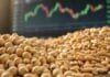 Mercado de granos: soja estable, maíz firme y trigo sin cambios Granos de soja y trigo en primer plano con un gráfico de precios agrícolas en tonos verdes y rojos desenfocado al fondo.