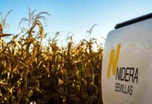 Nidera: la tecnología cambia el negocio, pero la confianza sigue siendo el mayor valor Vehículo de Nidera Semillas junto a un lote de maíz maduro durante una recorrida técnica a campo para el asesoramiento de productores.