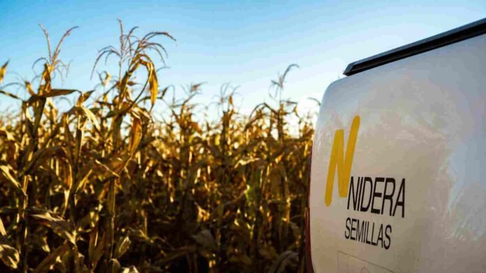 nidera-semillas-maiz-red-in-ruralnet Vehículo de Nidera Semillas junto a un lote de maíz maduro durante una recorrida técnica a campo para el asesoramiento de productores.