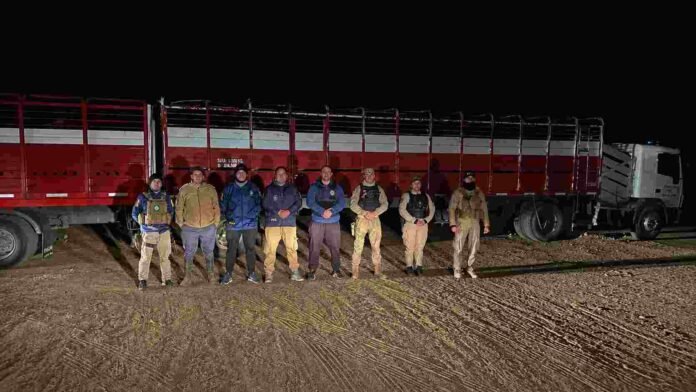 Personal policial junto a un camión jaula utilizado en el operativo de recuperación de hacienda bovina vinculada a una presunta estafa ganadera en Córdoba.