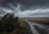 Alerta naranja por lluvias, nieve y ráfagas de hasta 110 km/h: las zonas bajo alerta Camino rural bajo una tormenta intensa con lluvia, viento fuerte y un relámpago sobre un paisaje abierto.