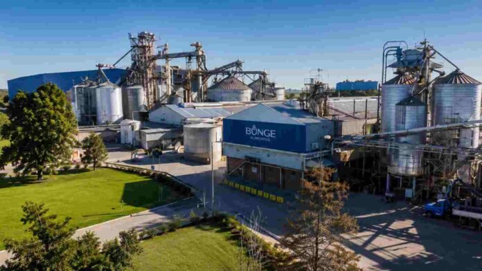 planta-industrial-procesamiento-granos-ruralnet Vista aérea de una planta industrial de procesamiento y almacenamiento de granos con silos, cintas transportadoras e infraestructura agroindustrial.