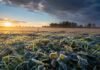 De las heladas a las primeras lluvias: así cierra el fin de semana en el campo Campo agrícola argentino al amanecer con pasto y cultivos cubiertos de escarcha, iluminados por el sol naciente, mientras un cielo que pasa de despejado a nubes de tormenta anticipa el cambio de tiempo.