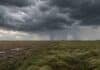 Pronóstico hasta el lunes 27: tormentas en el NEA y chaparrones en la región pampeana Tormenta con cortina de lluvia y chaparrones sobre un campo productivo de la región pampeana.