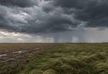 Pronóstico hasta el lunes 27: tormentas en el NEA y chaparrones en la región pampeana Tormenta con cortina de lluvia y chaparrones sobre un campo productivo de la región pampeana.